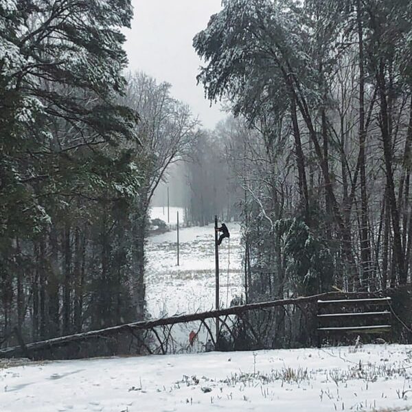 A snowy forest scene with a fallen tree and a person walking in the background. The ground and trees are covered in snow.