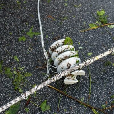 Power line on ground