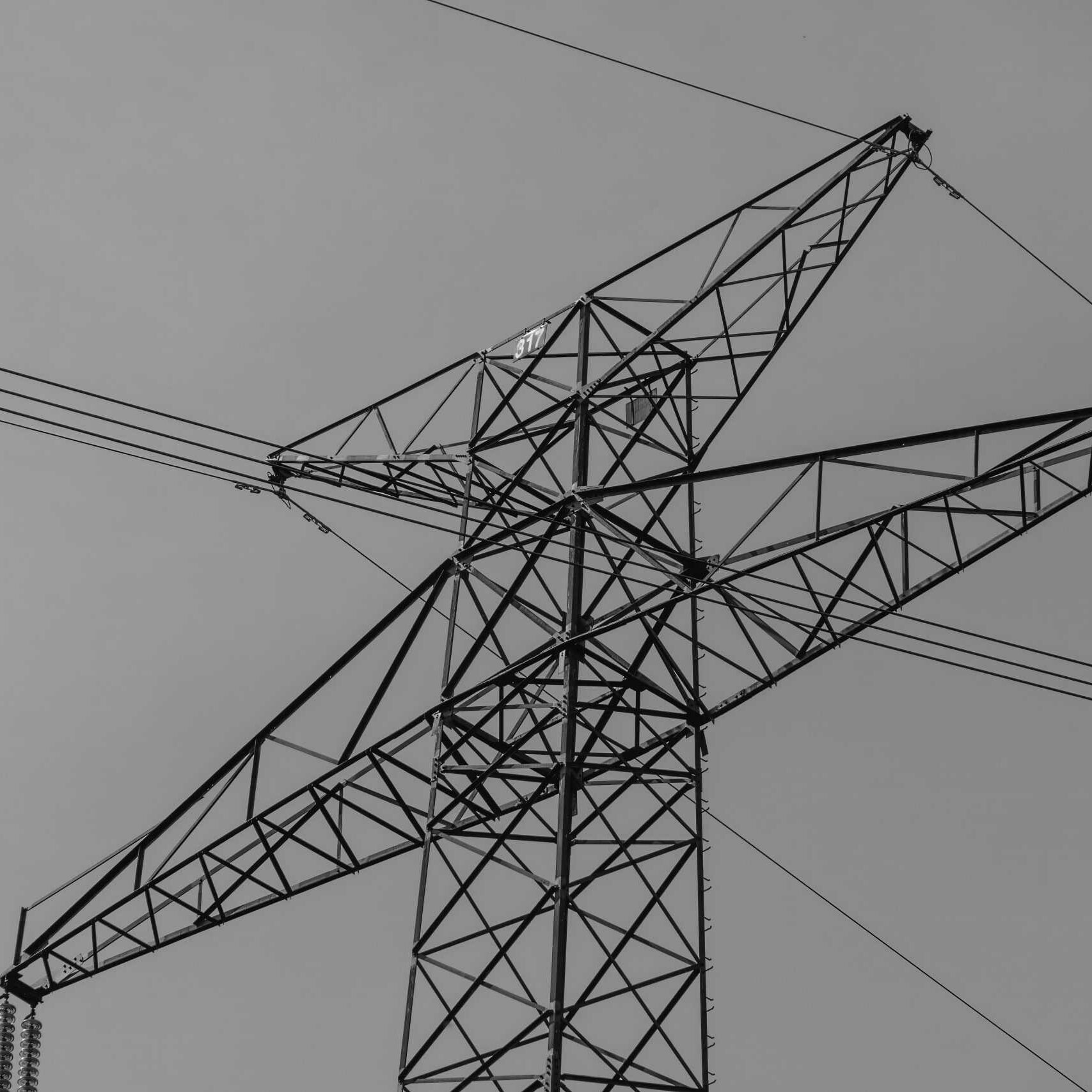 View of power lines from the ground