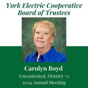Profile thumbnail of Board Member Boyd