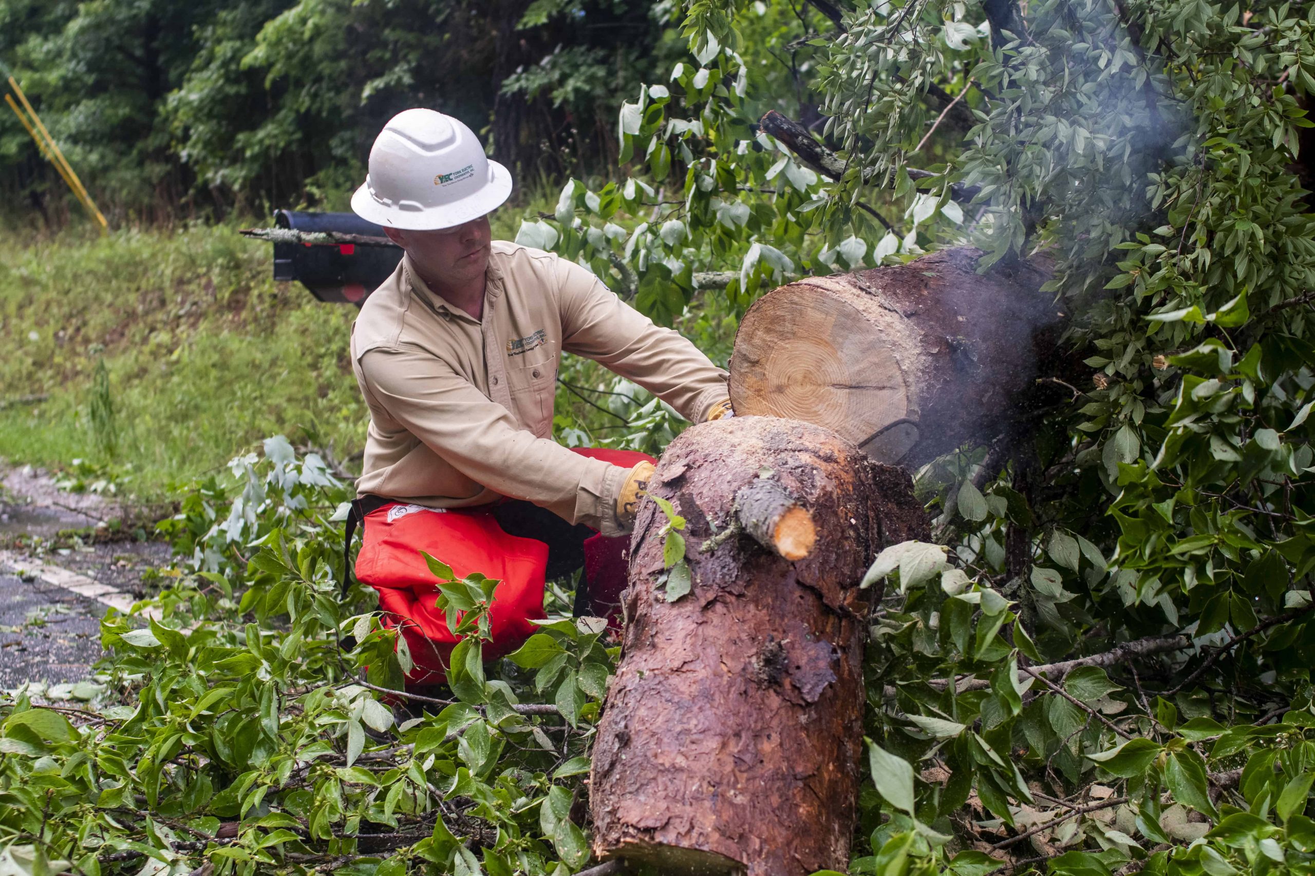 A lineman is pictured clearing a fallen tree