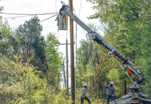 Linemen are seen clearing trees