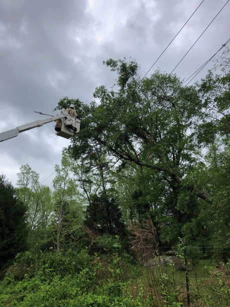 A cherry picker truck or basket crane truck with lineworker trimming tree limbs.