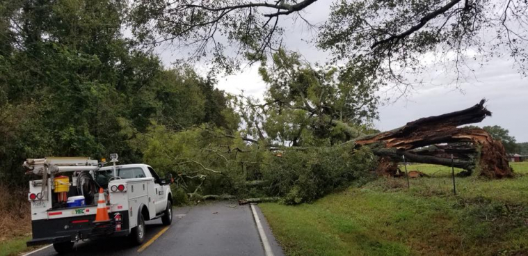 YEC crew arriving at the scene of a large fallen tree blocking the road