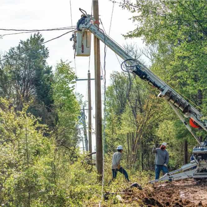 Utility workers repair power lines in a forested area using a bucket truck, surrounded by trees and clear skies.